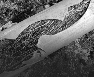 Blocked Drains Frankston